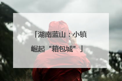 湖南蓝山：小镇崛起“箱包城”