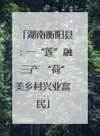 湖南衡阳县：一“莲”融三产 “荷”美乡村兴业富民