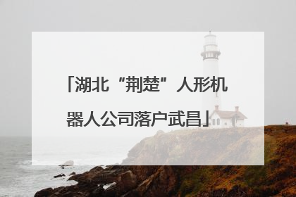湖北“荆楚”人形机器人公司落户武昌