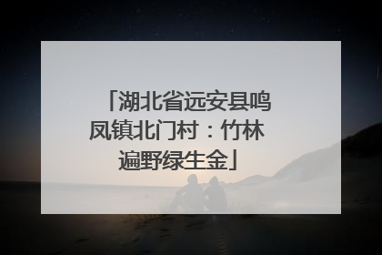 湖北省远安县鸣凤镇北门村：竹林遍野绿生金