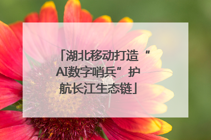 湖北移动打造“AI数字哨兵”护航长江生态链