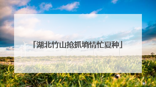湖北竹山抢抓墒情忙夏种