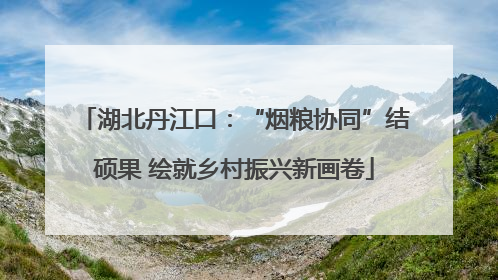 湖北丹江口：“烟粮协同”结硕果 绘就乡村振兴新画卷