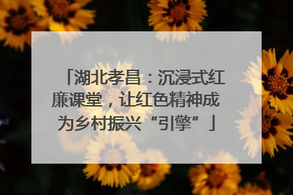 湖北孝昌：沉浸式红廉课堂，让红色精神成为乡村振兴“引擎”