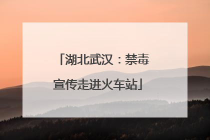 湖北武汉：禁毒宣传走进火车站