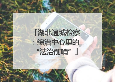 湖北通城检察：综治中心里的“法治前哨”