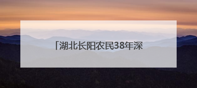 湖北长阳农民38年深山守护“植物大熊猫”