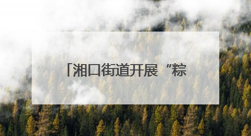 湘口街道开展“粽香话文明 邻里一家亲”端午节活动