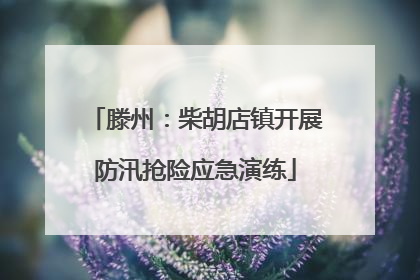 滕州：柴胡店镇开展防汛抢险应急演练