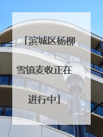 滨城区杨柳雪镇麦收正在进行中
