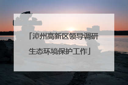 漳州高新区领导调研生态环境保护工作