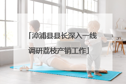 漳浦县县长深入一线调研荔枝产销工作