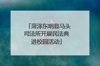 菏泽东明县马头司法所开展民法典进校园活动