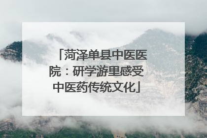菏泽单县中医医院：研学游里感受中医药传统文化