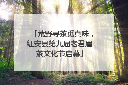 荒野寻茶觅真味，红安县第九届老君眉茶文化节启幕