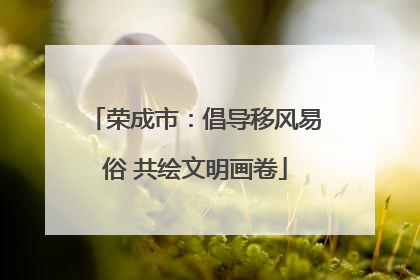 荣成市：倡导移风易俗 共绘文明画卷