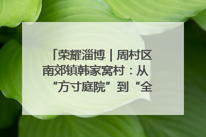 荣耀淄博｜周村区南郊镇韩家窝村：从“方寸庭院”到“全域文明”，乡村振兴的“美学革命”
