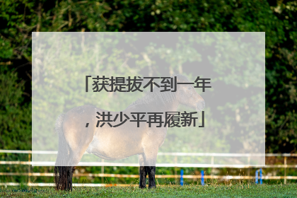 获提拔不到一年，洪少平再履新