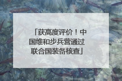 获高度评价！中国维和步兵营通过联合国装备核查