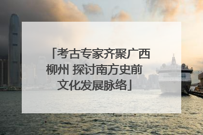 考古专家齐聚广西柳州 探讨南方史前文化发展脉络