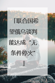 联合国希望俄乌谈判能达成“无条件停火”
