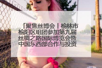 聚焦丝博会丨榆林市榆阳区组团参加第九届丝绸之路国际博览会暨中国东西部合作与投资贸易洽谈会
