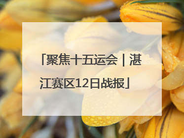 聚焦十五运会｜湛江赛区12日战报