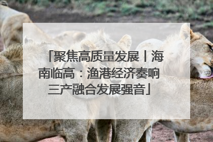 聚焦高质量发展丨海南临高：渔港经济奏响三产融合发展强音
