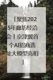 聚焦2025年廊坊经洽会丨京津冀首个AI招商选址大模型亮相