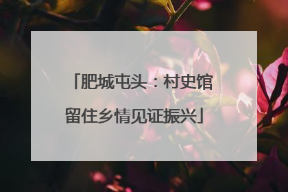 肥城屯头：村史馆留住乡情见证振兴