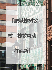 肥城槐树坡村：槐坡风动绿藤新