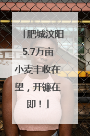 肥城汶阳5.7万亩小麦丰收在望，开镰在即！