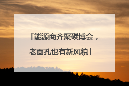 能源商齐聚碳博会，老面孔也有新风貌