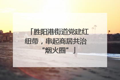 胜阳港街道党建红纽带，串起商居共治 “烟火圈”