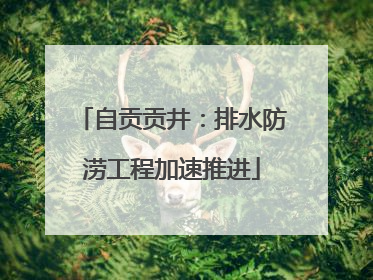 自贡贡井：排水防涝工程加速推进