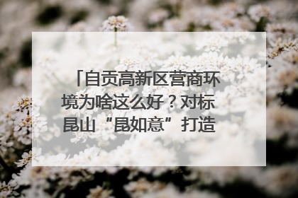 自贡高新区营商环境为啥这么好？对标昆山“昆如意”打造自贡“高兴办”｜美好生活有“盐”味