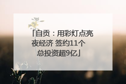 自贡：用彩灯点亮夜经济 签约11个总投资超9亿