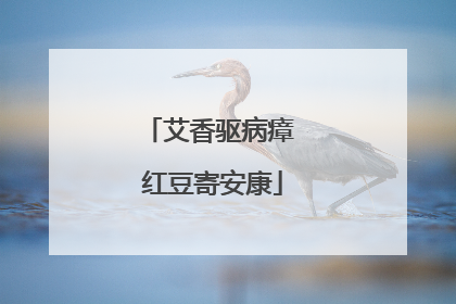 艾香驱病瘴 红豆寄安康