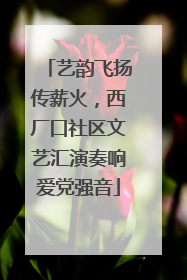 艺韵飞扬传薪火，西厂口社区文艺汇演奏响爱党强音
