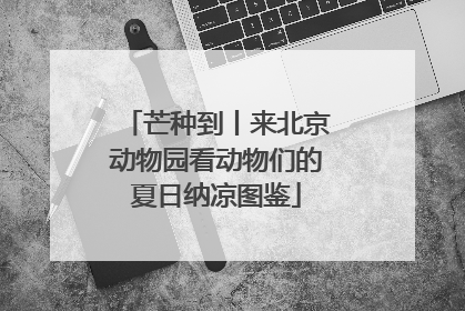 芒种到丨来北京动物园看动物们的夏日纳凉图鉴