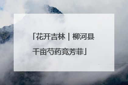 花开吉林｜柳河县千亩芍药竞芳菲