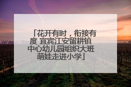 花开有时，衔接有度 宜宾江安留耕镇中心幼儿园组织大班萌娃走进小学