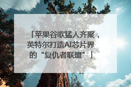 苹果谷歌猛人齐聚，英特尔打造AI芯片界的“复仇者联盟”