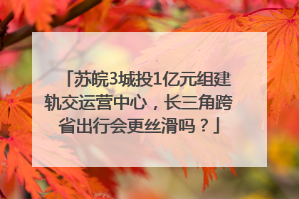 苏皖3城投1亿元组建轨交运营中心，长三角跨省出行会更丝滑吗？