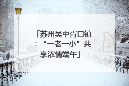 苏州吴中胥口镇：“一老一小”共享浓情端午