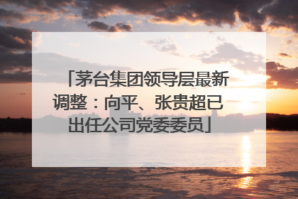 茅台集团领导层最新调整：向平、张贵超已出任公司党委委员
