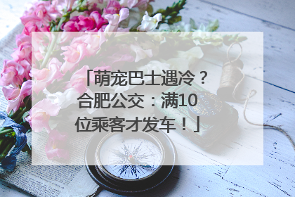 萌宠巴士遇冷？合肥公交：满10位乘客才发车！