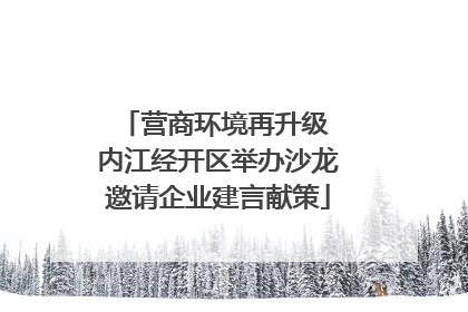 营商环境再升级 内江经开区举办沙龙邀请企业建言献策
