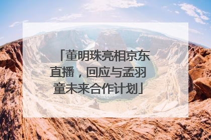 董明珠亮相京东直播，回应与孟羽童未来合作计划
