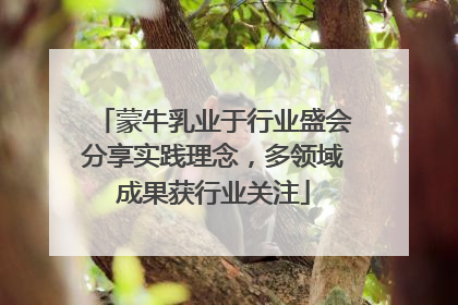 蒙牛乳业于行业盛会分享实践理念，多领域成果获行业关注